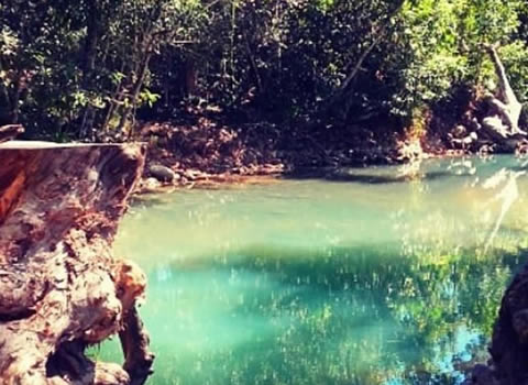 Cardwell Spa Pools