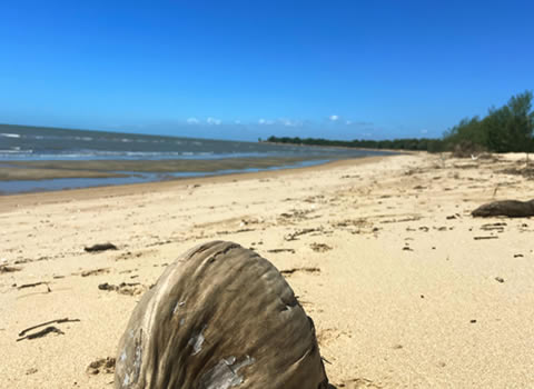 Mutarnee Beach