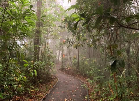 Paluma